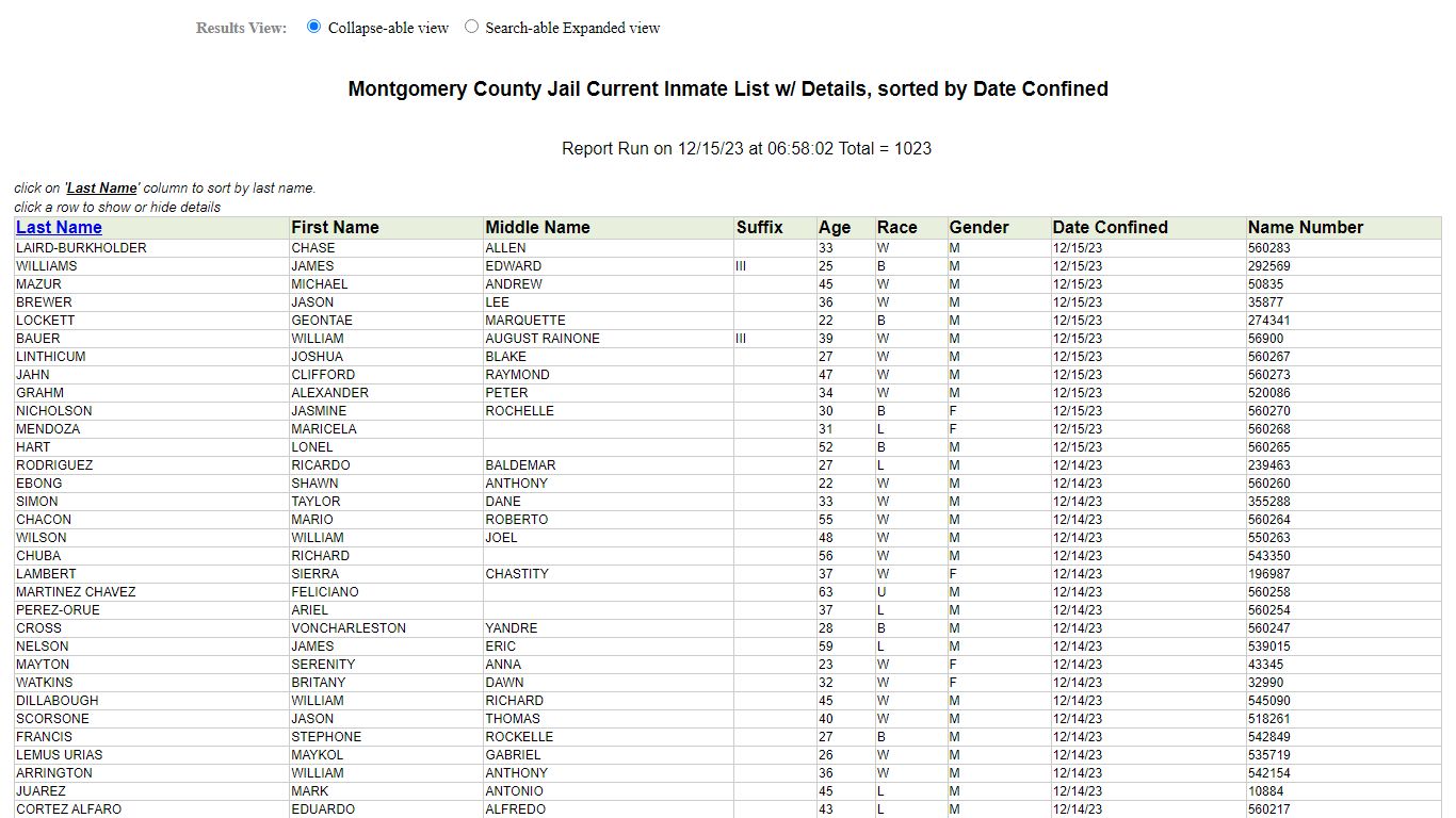 Jail Roster
